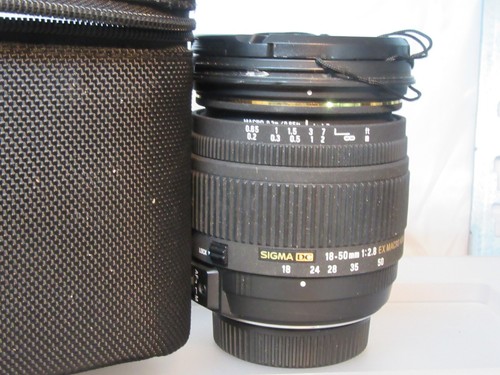 Nikon fit obiettivo - , zoom
